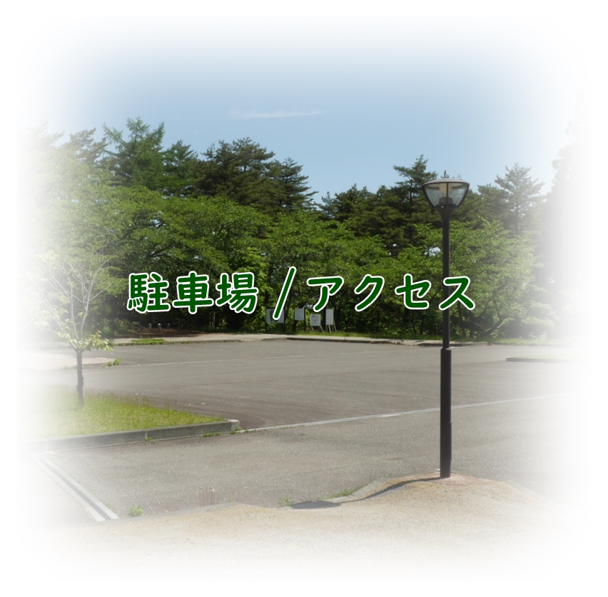 駐車場／アクセス
