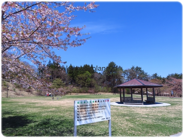 陽だまり広場